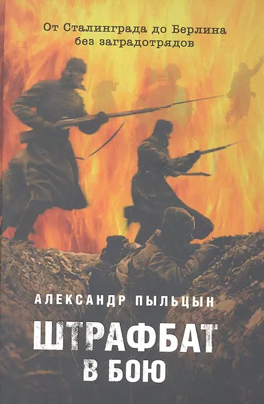 Штрафбат в бою. От Сталинграда до Берлина без заградотрядов - фото 1