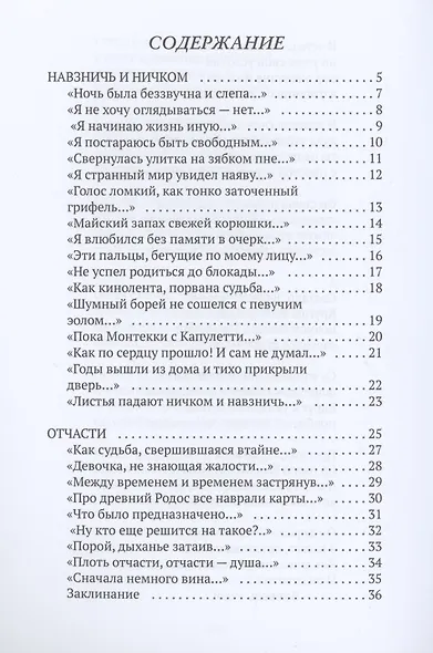 Боковой видоискатель - фото 2
