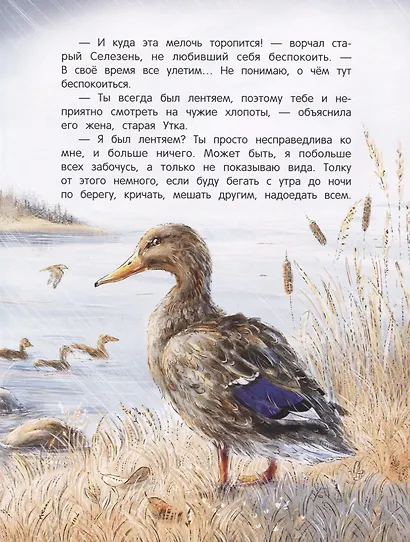 Серая Шейка - фото 2