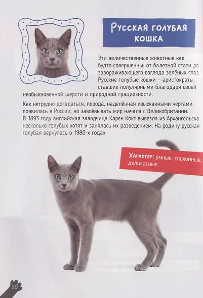 Кошки. Большие секреты маленьких хищников. Энциклопедия для детей - фото 5