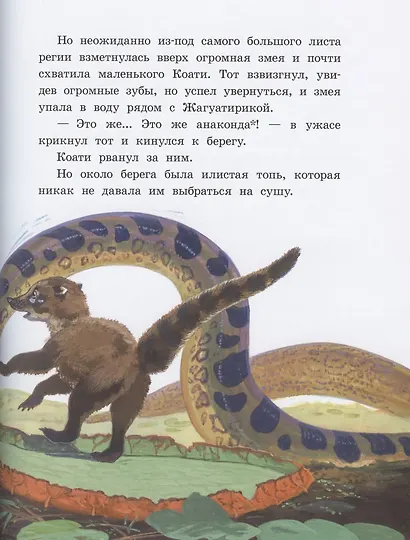 Приключения Тирика и Коати. Сказки с берегов Амазонки - фото 4