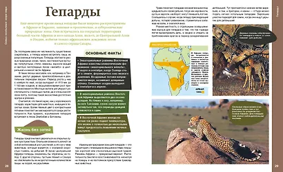Самые необычные звери мира - фото 7
