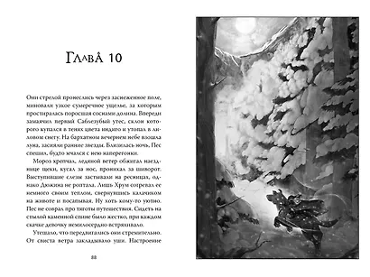 Рожденная огнем. Книга 1. Дюжина и Ледяной лес - фото 8