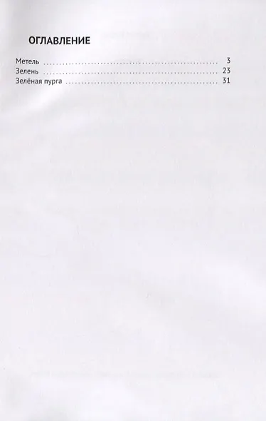 Метель - фото 2