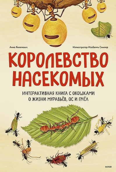 Королевство насекомых. Интерактивная книга с окошками о жизни муравьёв, ос и пчёл - фото 1