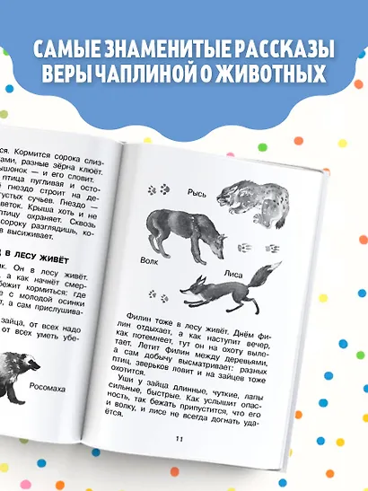 Фомка - белый медвежонок. Рассказы - фото 5