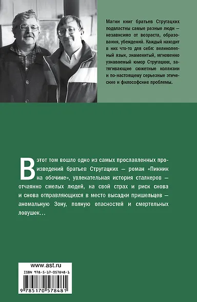 Пикник на обочине - фото 2