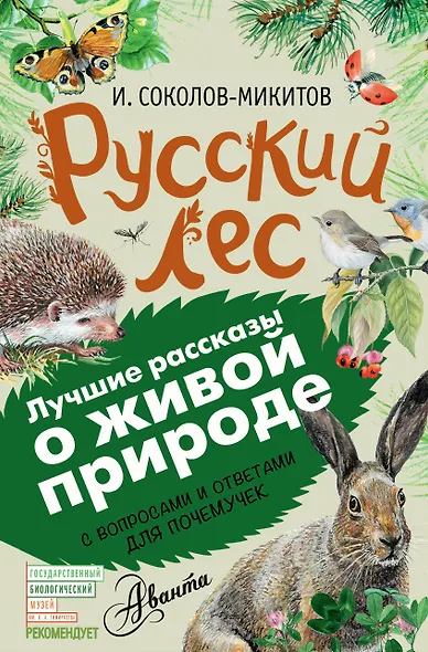 Русский лес - фото 1