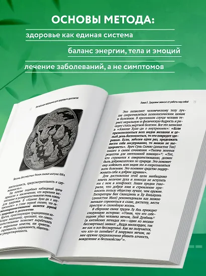 Традиционная китайская медицина. Современное руководство по древнему искусству «войны» с болезнями - фото 6