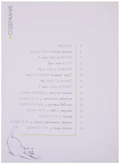 Животные в метрах и миллиметрах - фото 2