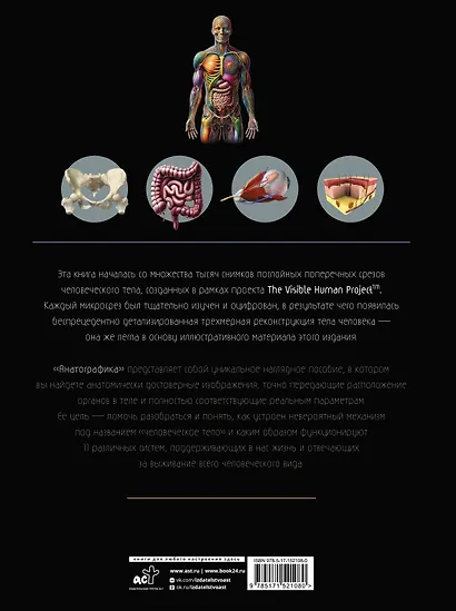 Анатографика - фото 2