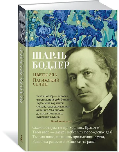 Цветы зла. Парижский сплин - фото 2