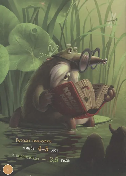 Я выхухоль - фото 4