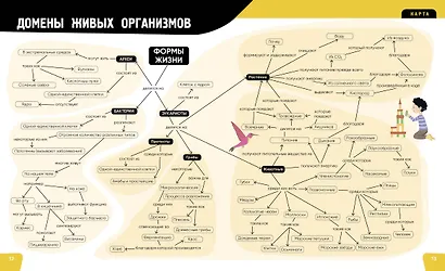 Тело человека. Самая анатомическая энциклопедия - фото 5