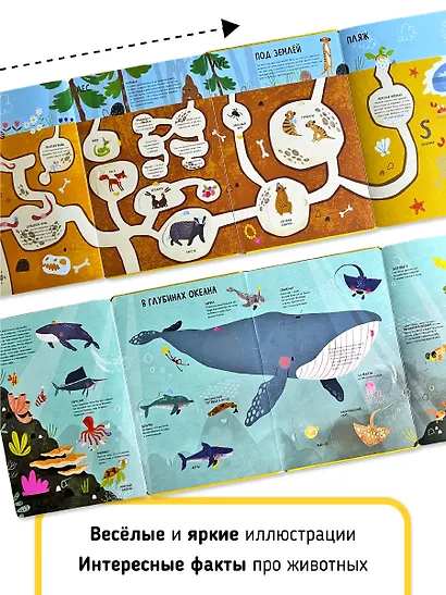 Мои первые открытия «Животные» - фото 9