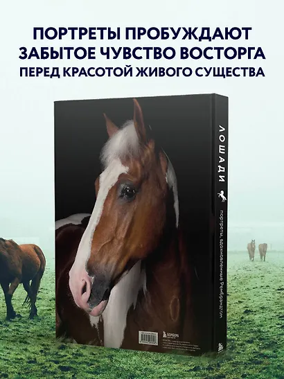 Лошади. Портреты, вдохновленные Рембрандтом. Эксклюзивный фотоальбом - фото 7