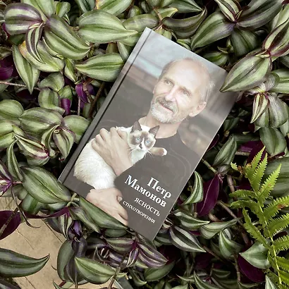 Ясность - фото 4