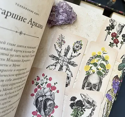 Antique Anatomy Tarot. Таро античной анатомии - фото 4