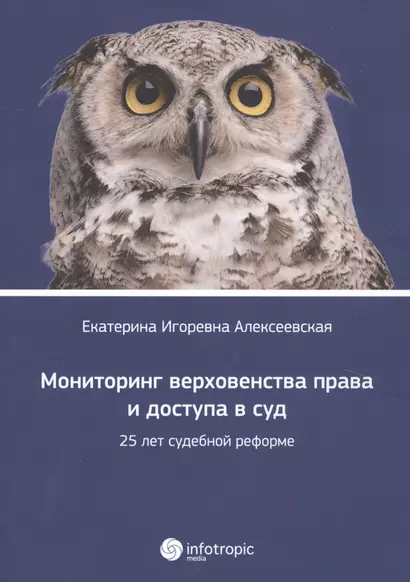 Мониторинг верховенства права и доступа в суд: 25 лет судебной реформе. - фото 1