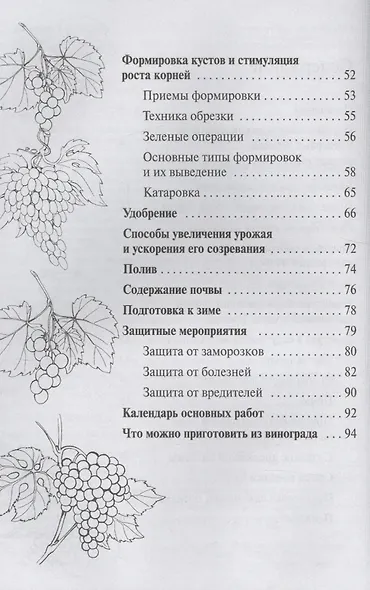 Виноград.Выращивание в средней полосе России.Выбор сорта.Посадка и уход.Подготовка к зиме - фото 3