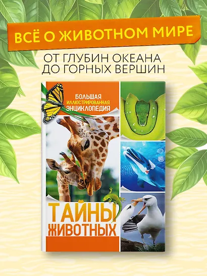 Тайны животных. Большая иллюстрированная энциклопедия - фото 4