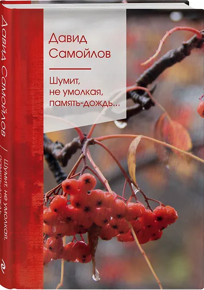 Шумит, не умолкая, память-дождь… - фото 3