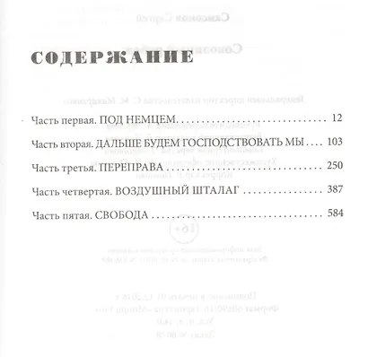 Соколиный рубеж - фото 2