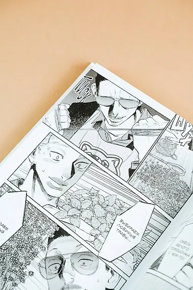 Путь домохозяина. Том 9 (Gokushufudou). Манга - фото 13