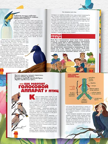 Птицы. Биология. Физиология - фото 7