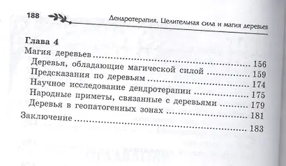 Дендротерапия: целительная сила и магия деревьев - фото 4