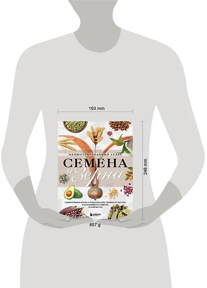 Семена и зерна. Иллюстрированный атлас. Удивительные факты о сельскохозяйственных культурах и их влияние на развитие человечества - фото 11