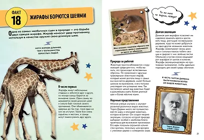 Всё об окружающем мире с научной точки зрения - фото 6