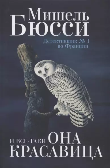 И все-таки она красавица: роман - фото 1