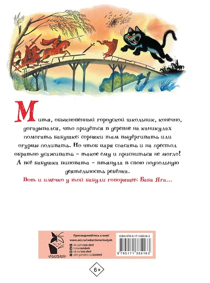 Вниз по волшебной реке. Рисунки В. Чижикова - фото 2