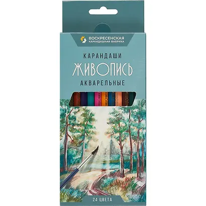 Карандаши цветные ВКФ, "Живопись", акварельные 24 цвета - фото 1