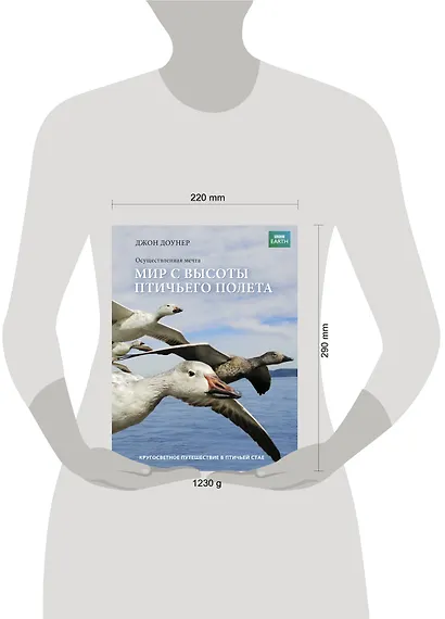 Мир с высоты птичьего полета - фото 3