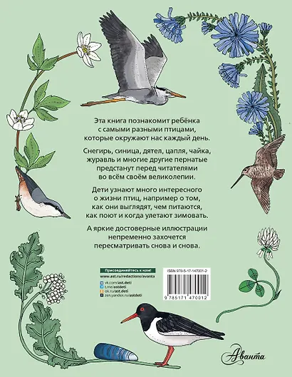 Птицы - фото 2