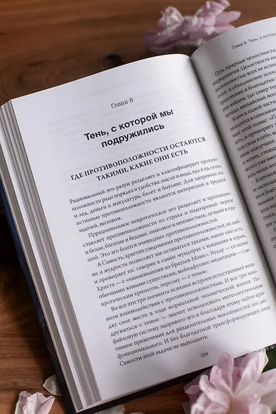 Танцующие с тенью. Архетип тени для трансформации внутренних демонов в силу и свободу - фото 12