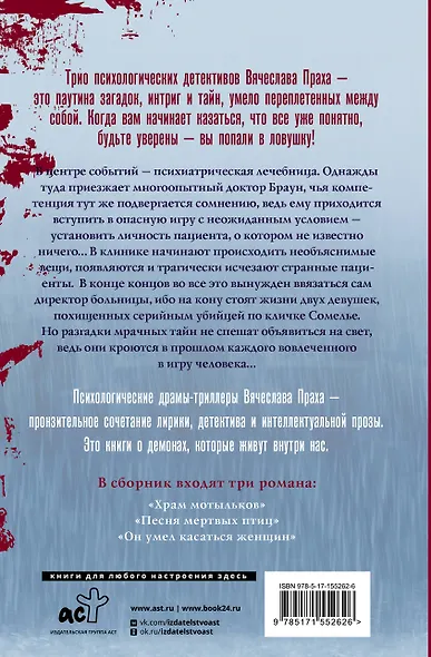 Детективное трио - фото 2
