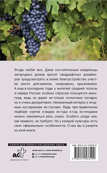 Виноград и другие любимые ягоды. Правила и советы для начинающих - фото 2