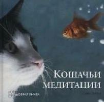 Кошачьи медитации - фото 1