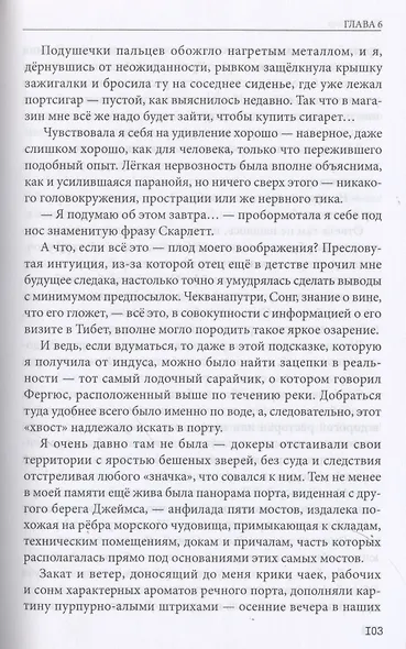 Звёздная дверь - фото 6