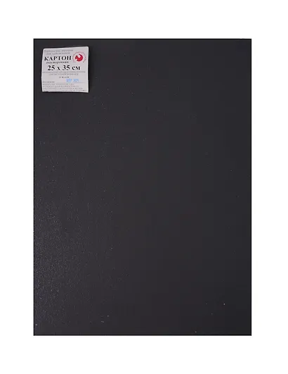Картон графитовый 05шт 25*35 грунтованный эмульс.грунтом, для пастельн.живописи - фото 1