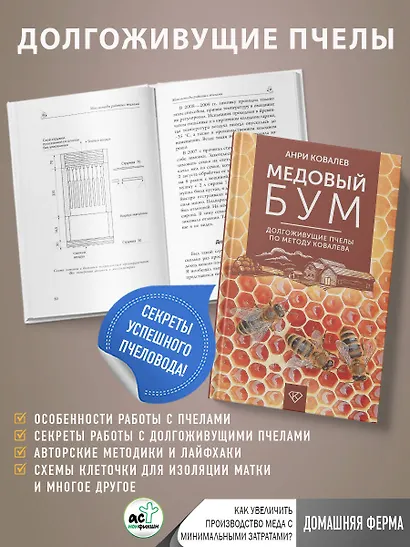 Медовый бум. Долгоживущие пчелы по методу Ковалева - фото 4