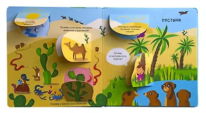 Природа: Вопросы и ответы для маленьких почемучек. Более 30 окошек - фото 4