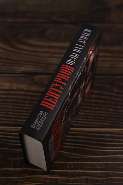 Центурион. Орлы над Дунаем - фото 7