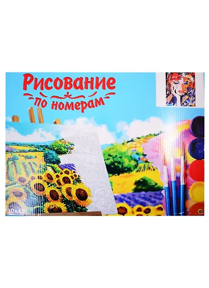 Набор д/творчества Рыжий кот Холст с красками 30х40см по номерам (в коробке) (19цв.) Портрет девушки Х-2930 - фото 2