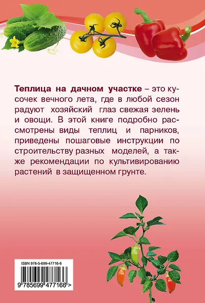 Теплицы и парники на дачном участке - фото 2