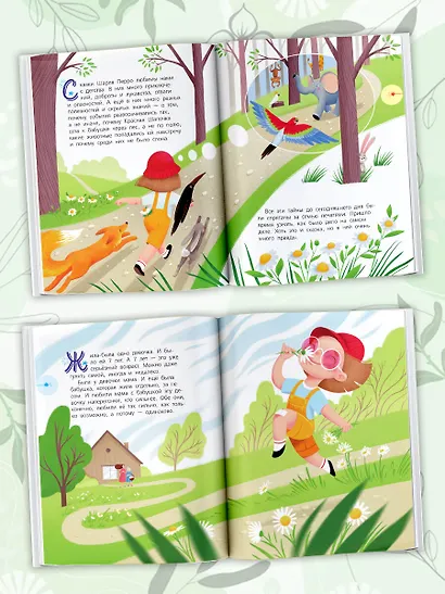 Красная Шапочка и тайны леса - фото 4