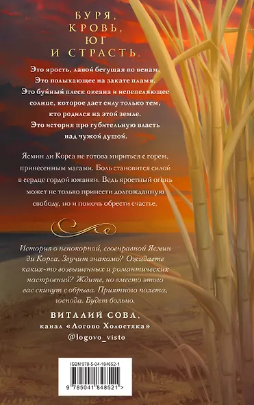 Сила и ярость Юга - фото 2